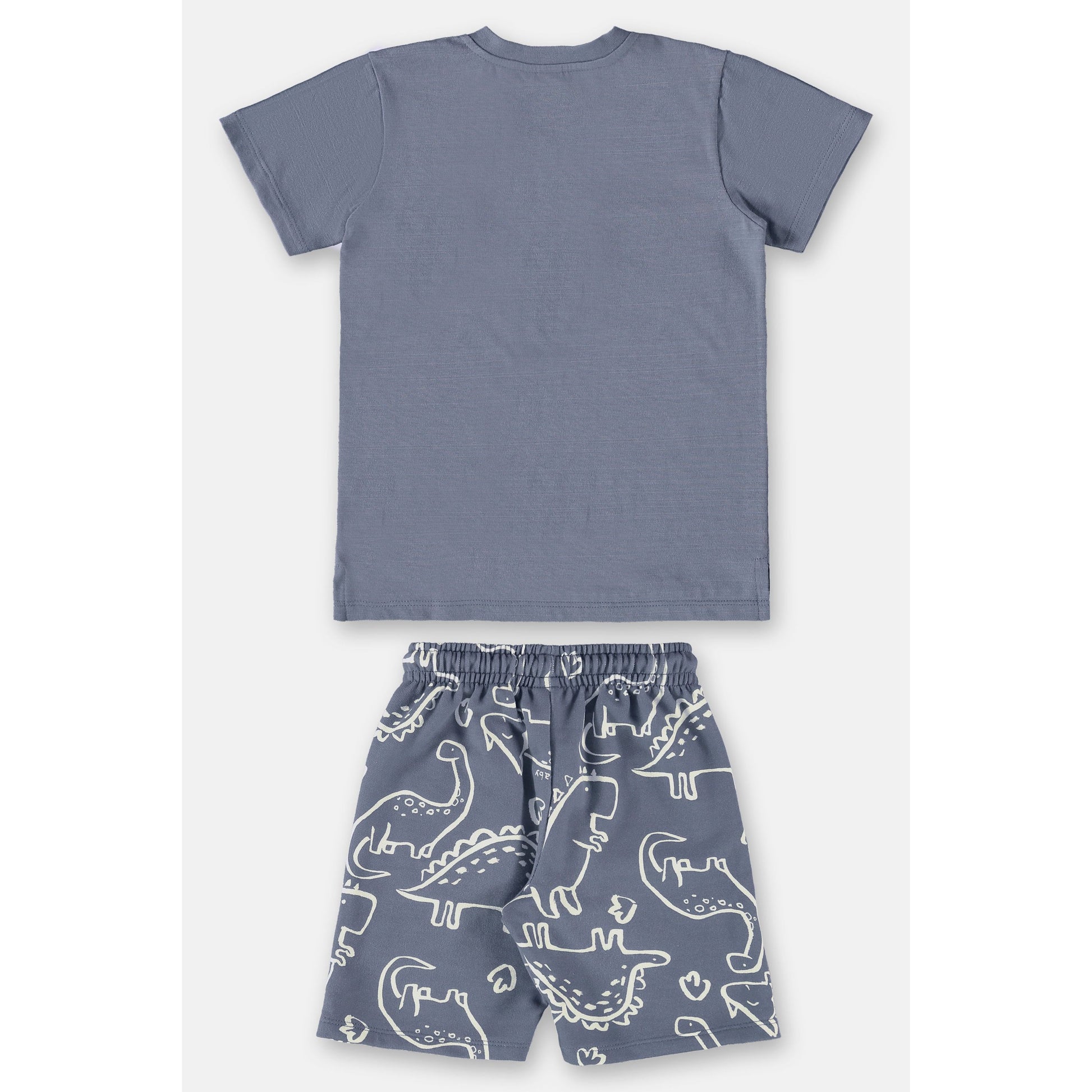 Dino Dino PEEK A BOO