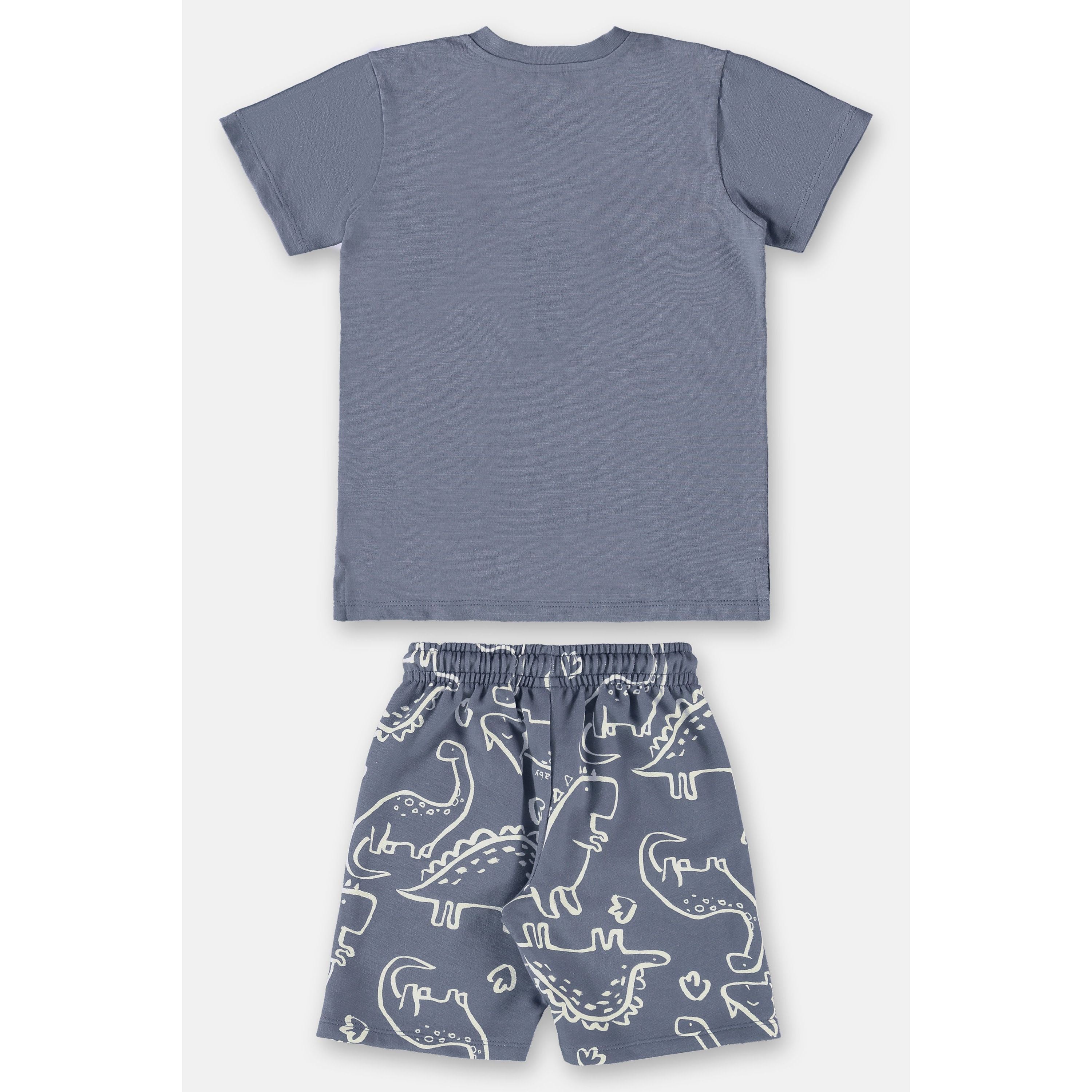 Dino Dino PEEK A BOO