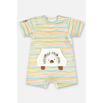 Color vibes PEEK A BOO