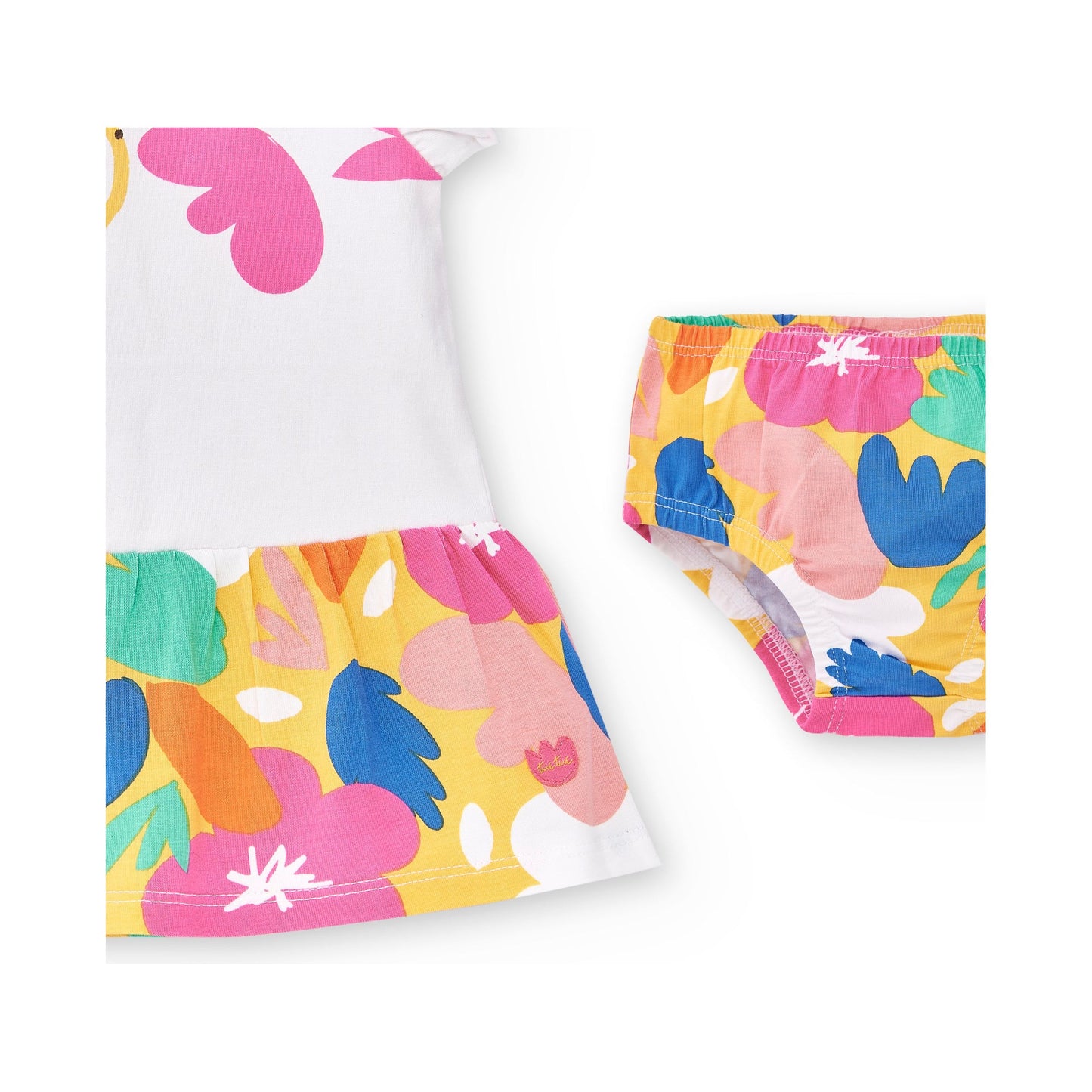 animal life collection
