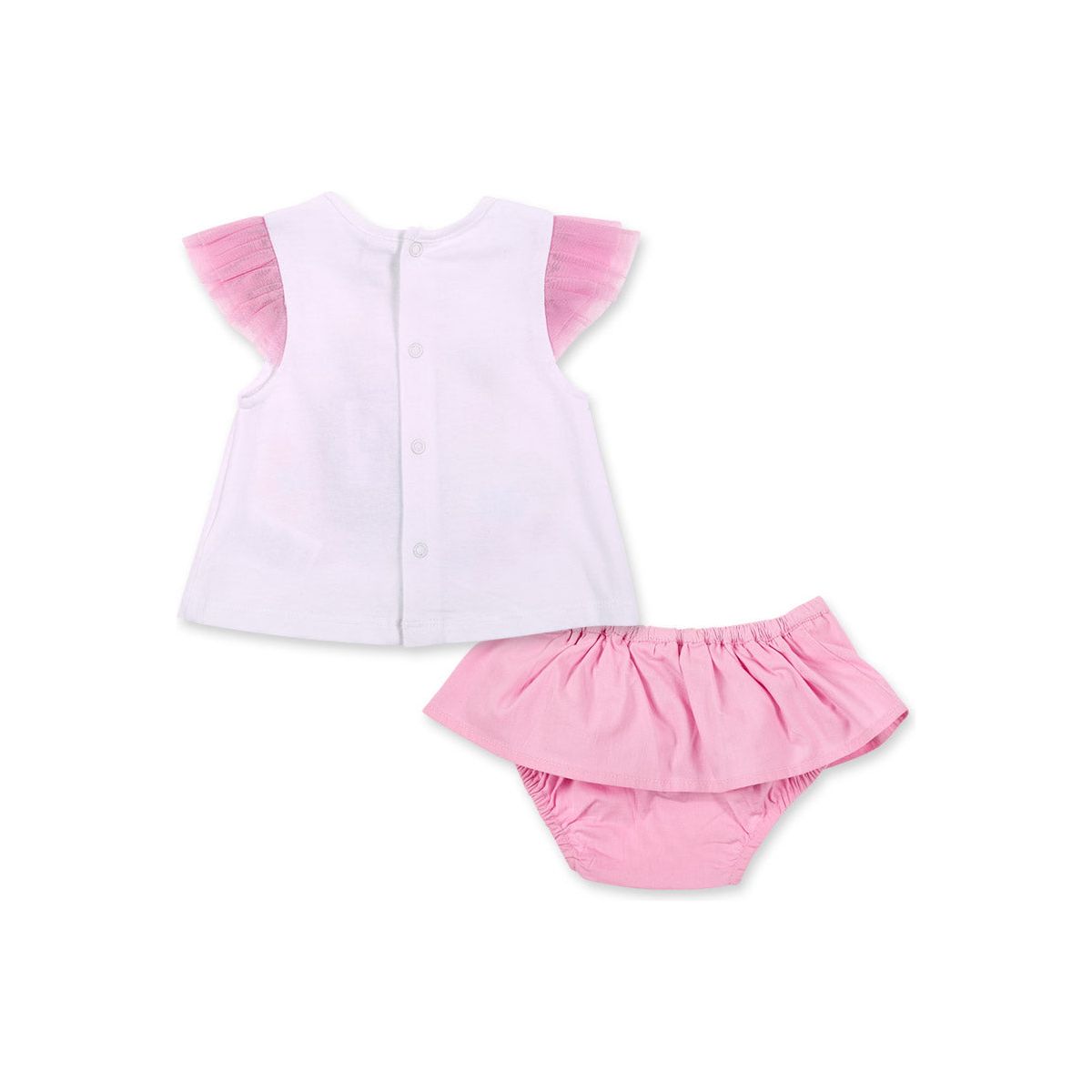 Water Lilies PEEK A BOO